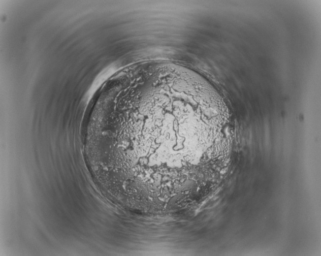 X0000066090099200603241507