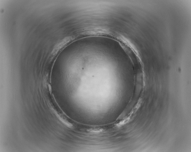 X0000066090105200603241507