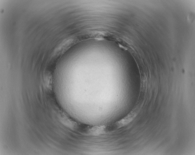 X0000066090138200603241506