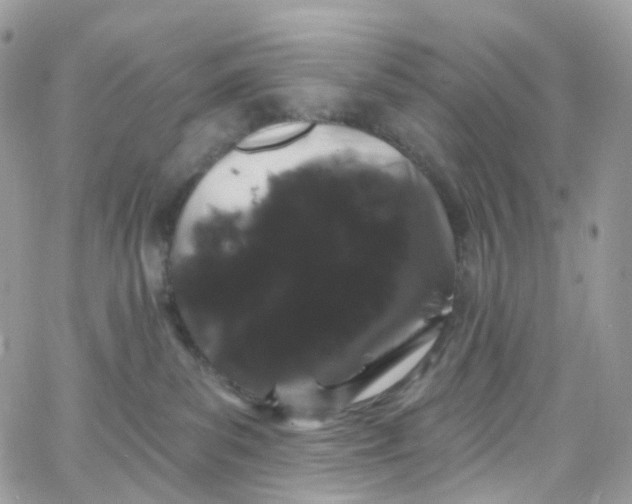 X0000066090139200603241506