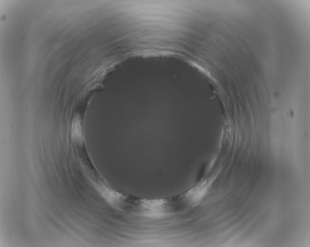 X0000066090143200603241506
