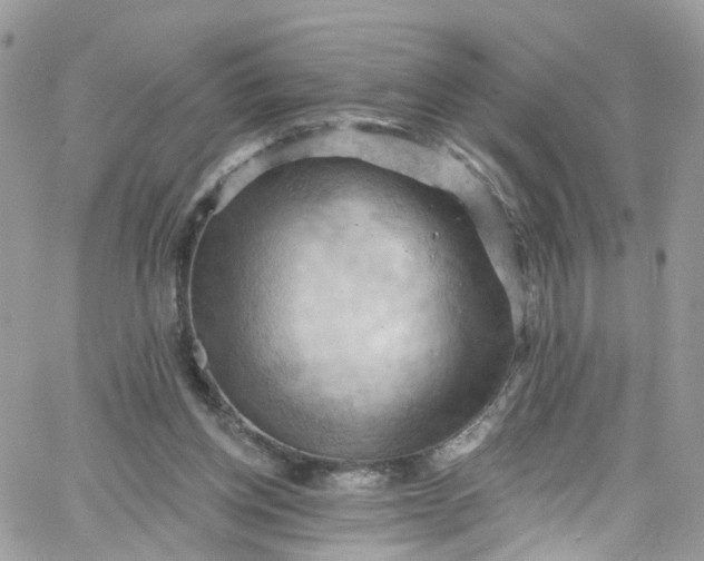 X0000066090158200603241506