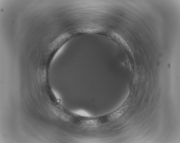 X0000066090163200603241506