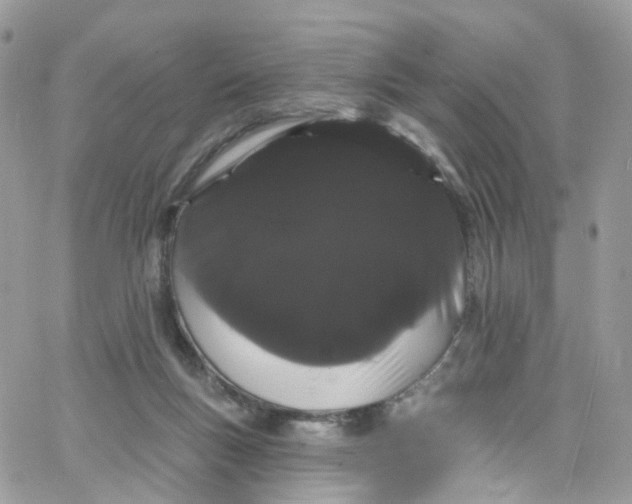 X0000066090167200603241506