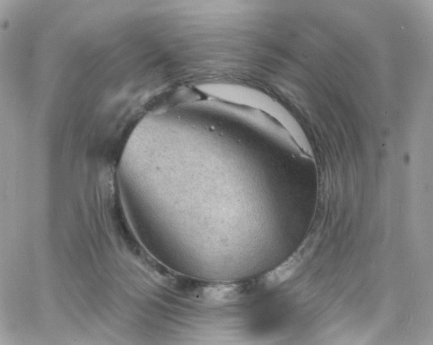 X0000066090172200603241506