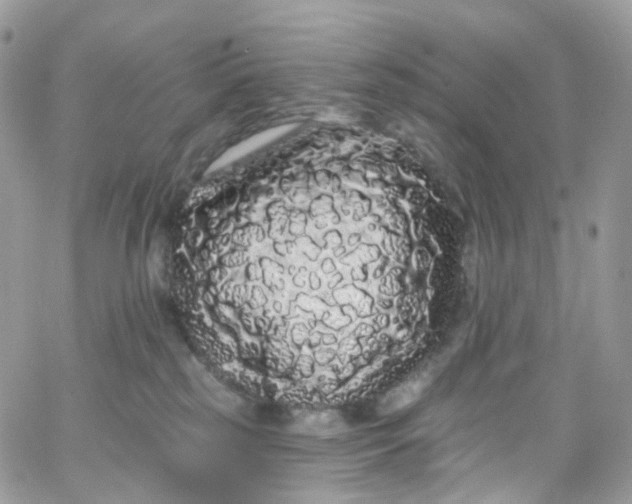 X0000066090185200603241506