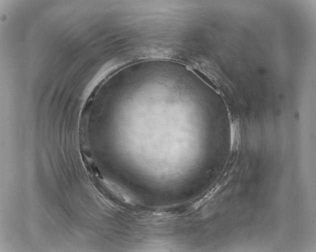 X0000066090195200603241505