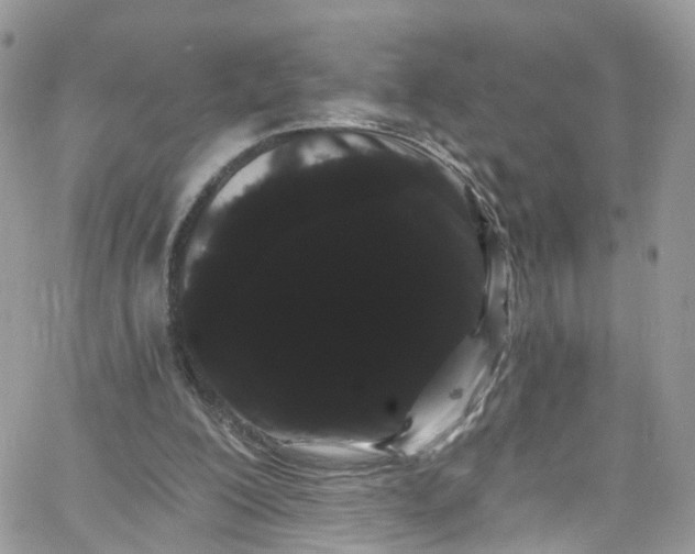 X0000066090200200603241505