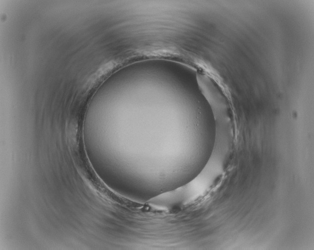 X0000066090201200603241505