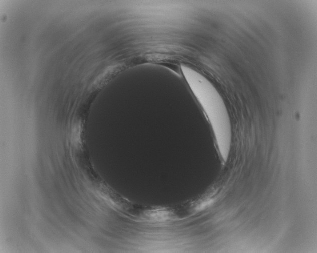 X0000066090219200603241505