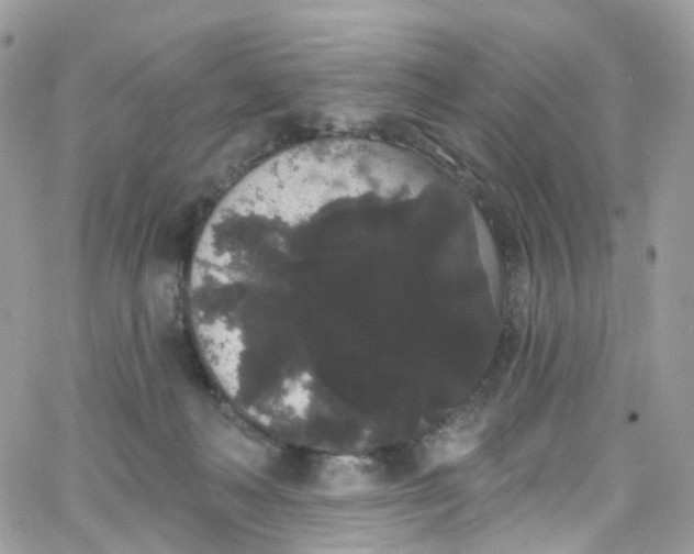 X0000066090222200603241505
