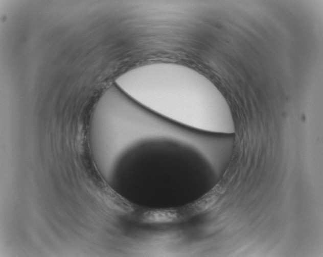 X0000066090223200603241505