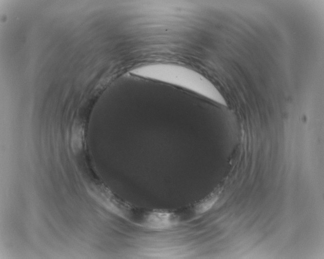 X0000066090227200603241505