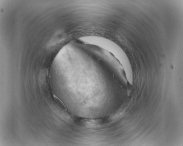 X0000066090229200603241505
