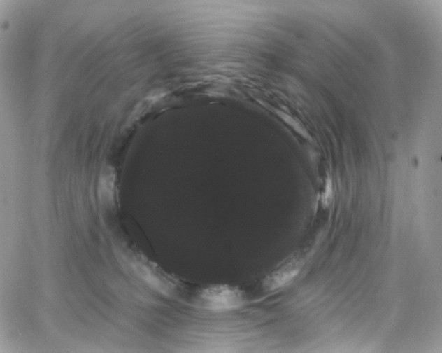 X0000066090231200603241505