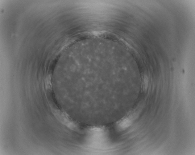 X0000066090236200603241505