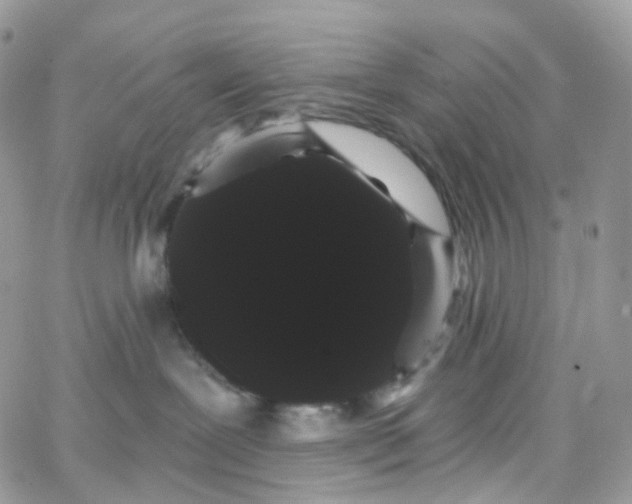 X0000066090239200603241505