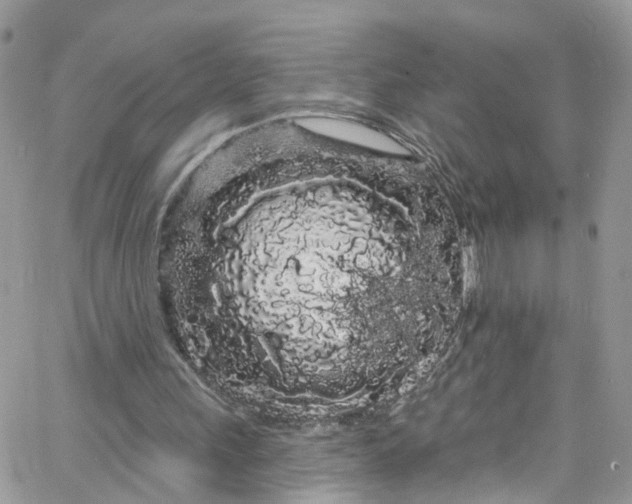 X0000066090243200603241504