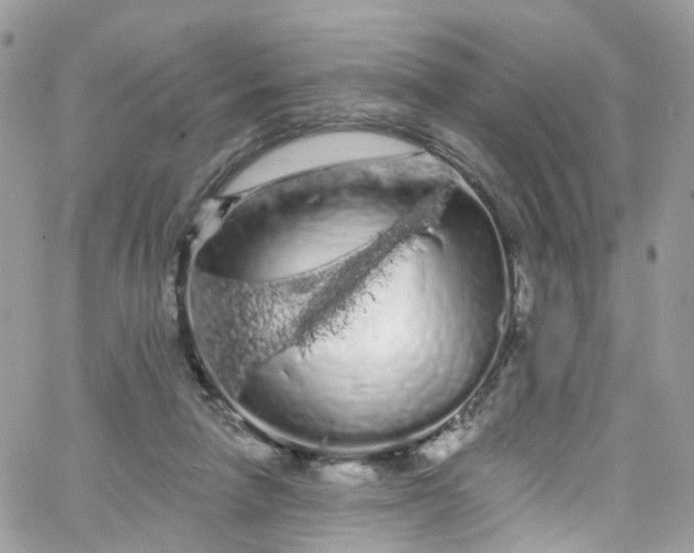 X0000066090258200603241504