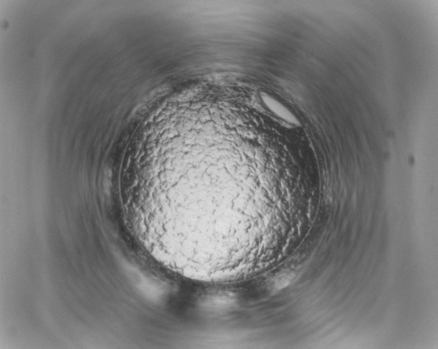 X0000066090263200603241504