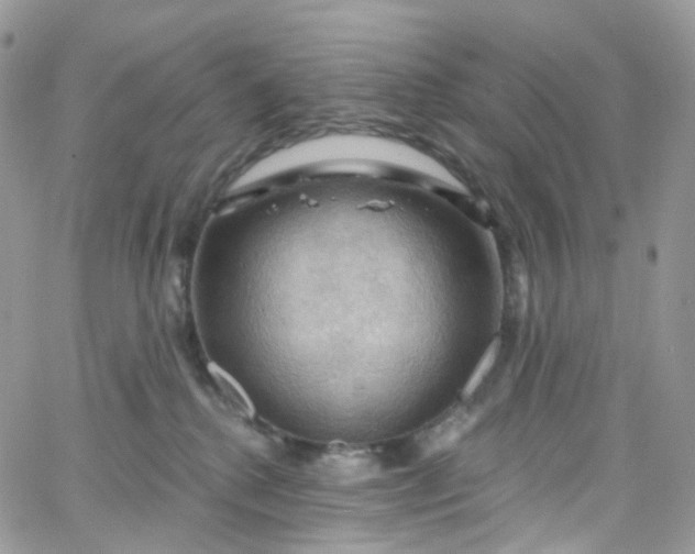 X0000066090280200603241504