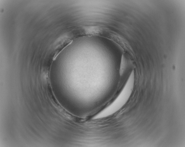X0000066090329200603241503