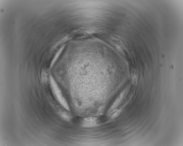 X0000066090335200603241503