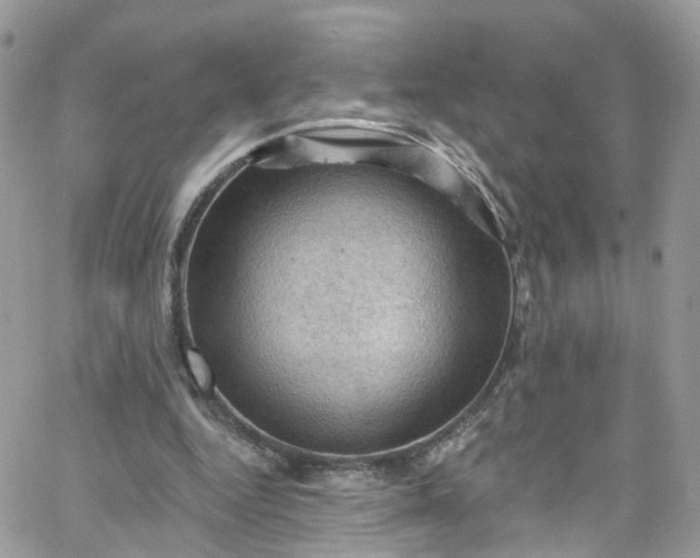 X0000066090344200603241502