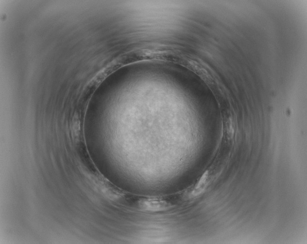 X0000066090372200603241503