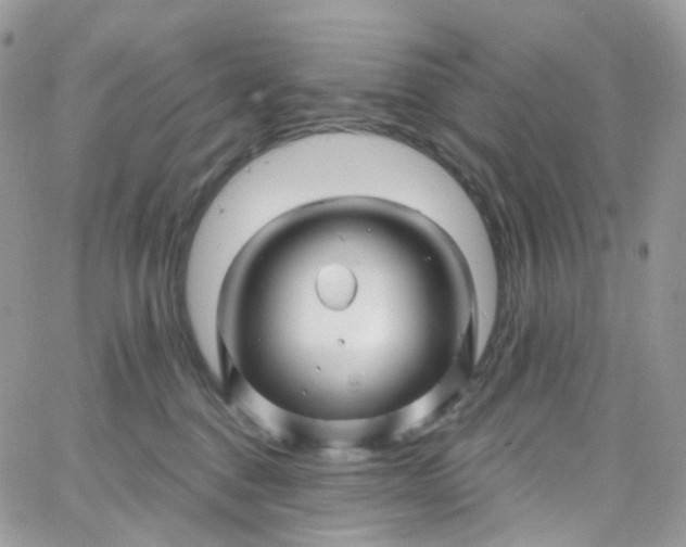 X0000066090376200603241503