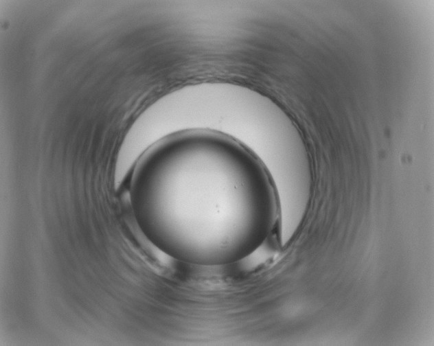 X0000066090384200603241503