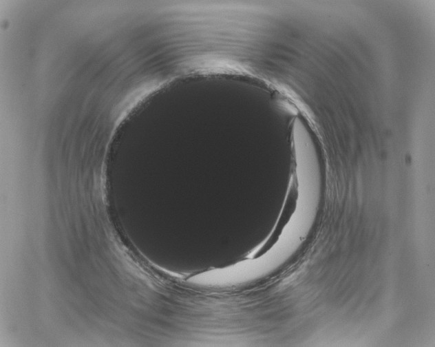 X0000066090391200603241502