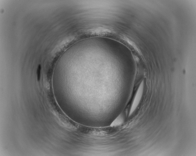 X0000066090403200603241502
