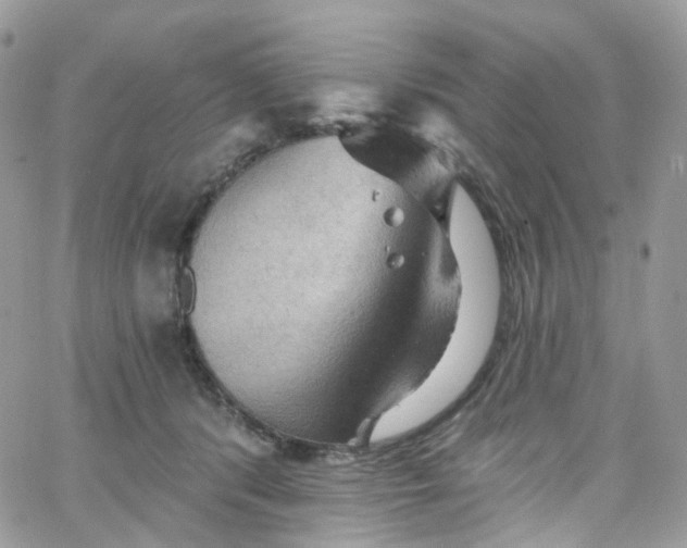 X0000066090416200603241502