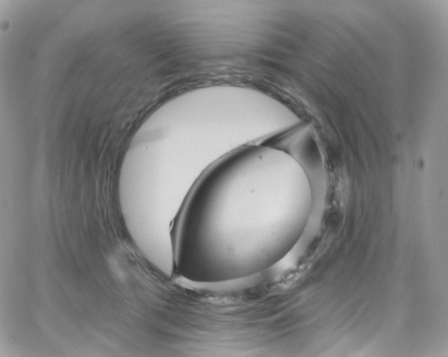 X0000066090417200603241502