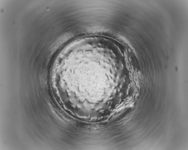 X0000066090443200603241501