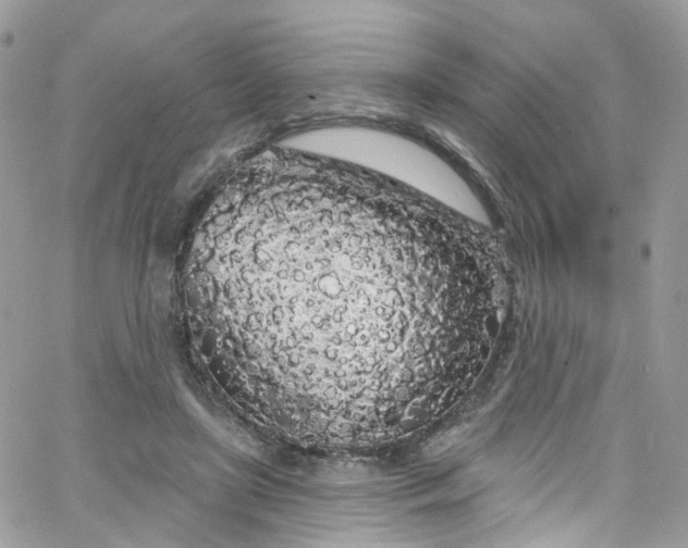 X0000066090451200603241501