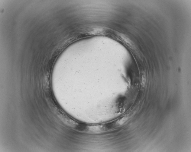 X0000066090461200603241501