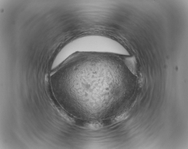 X0000066090466200603241501