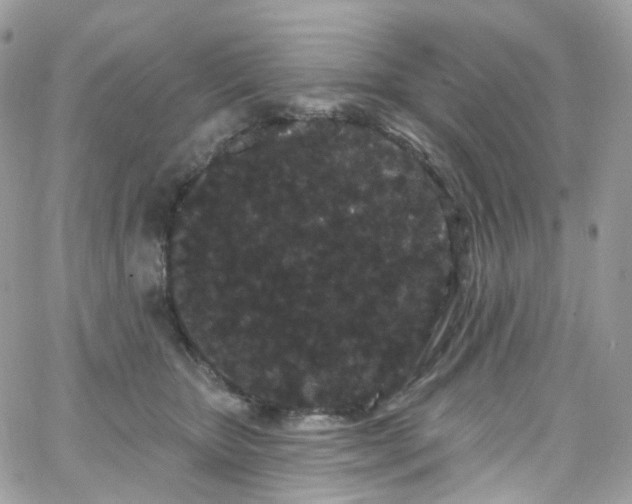 X0000066090467200603241501