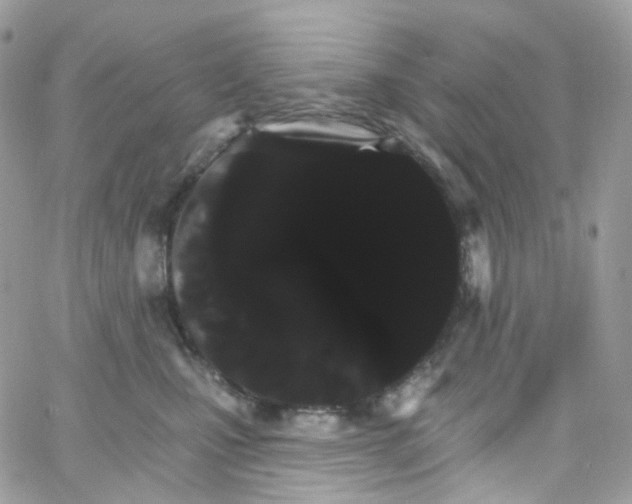 X0000066090471200603241501