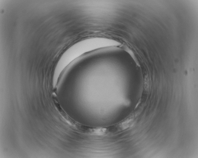 X0000066090474200603241501