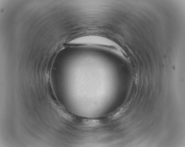 X0000066090476200603241501