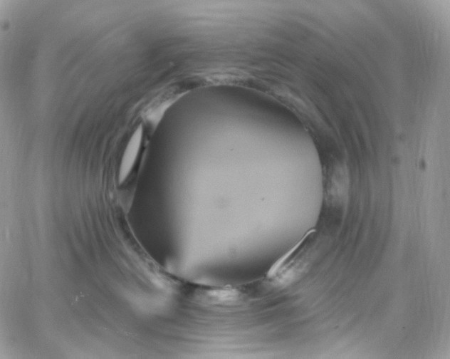 X0000066090478200603241501