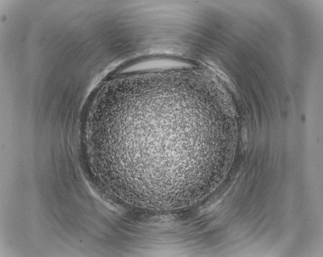 X0000066090492200603241500