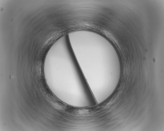 X0000066090501200603241500