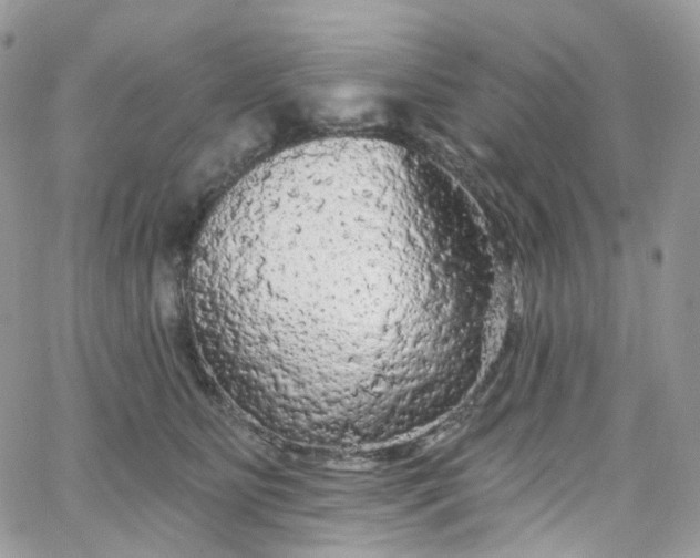 X0000066090515200603241500