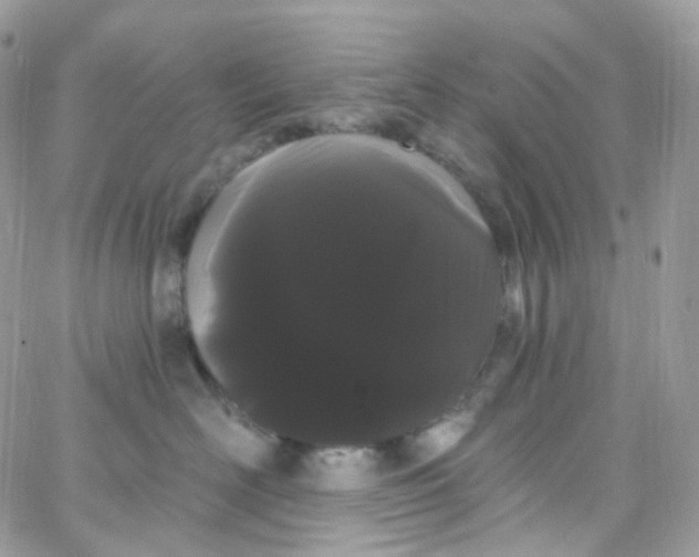 X0000066090526200603241500