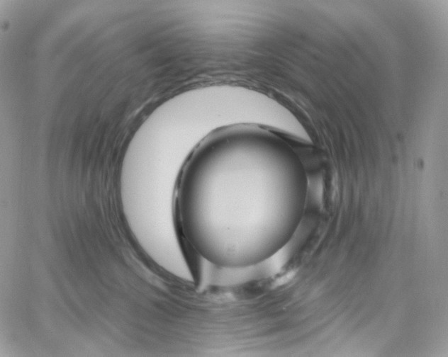 X0000066090572200603241500