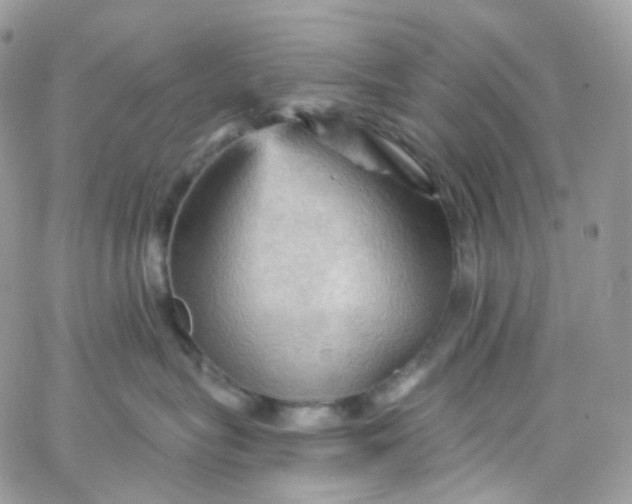 X0000066090575200603241500